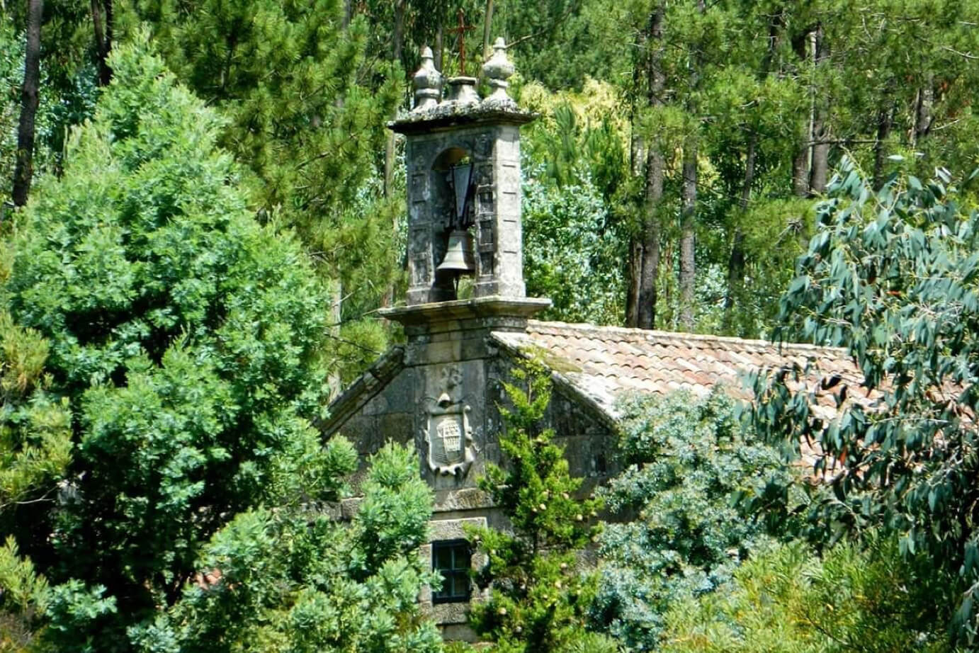 Foto Jardín Botánico 1